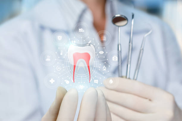 Why Choose Us for Your Dental Needs in Elkhart Lake, WI