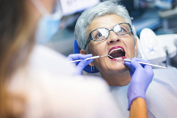  Elkhart Lake, WI Holistic Dental Services Pros